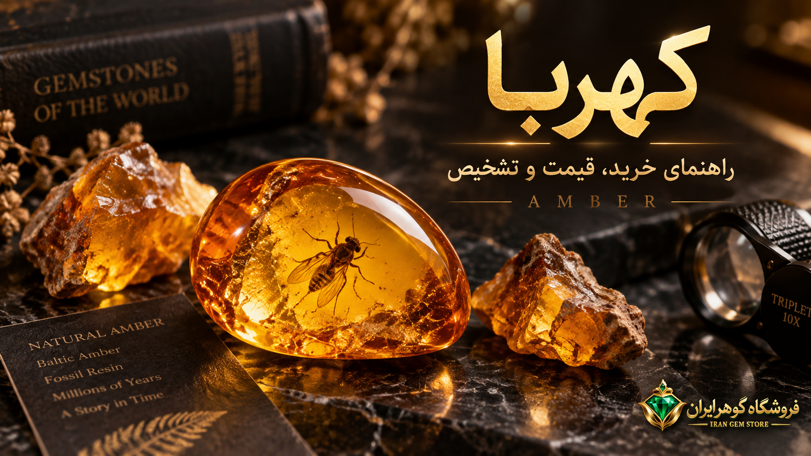 خرید و فروش کهربا؛ خرید و فروش، قیمت هر گرم، تشخیص کهربای اصل و انواع آن